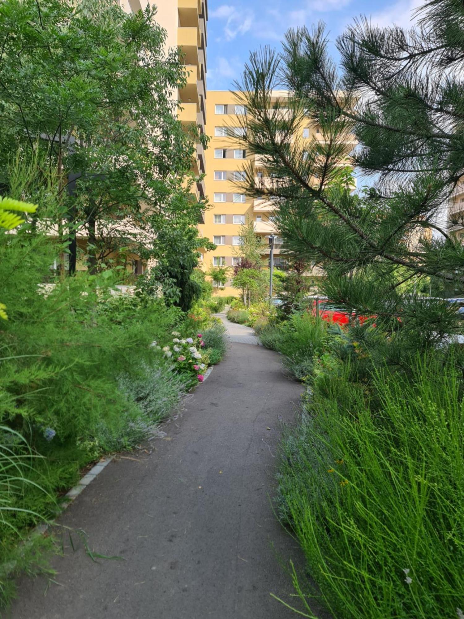 Luxury 2 Bedroom Braşov