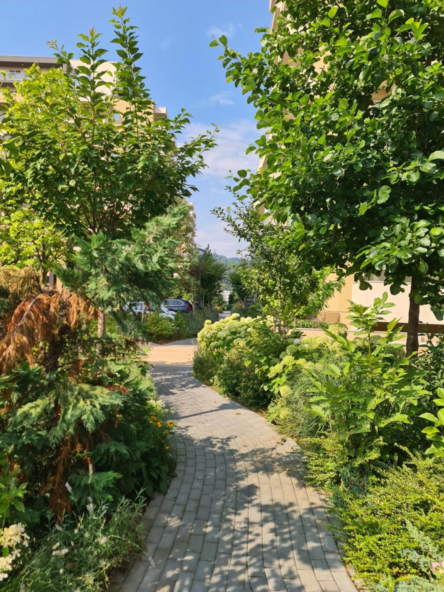 Luxury 2 Bedroom * Braşov